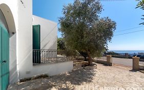 Villa Leonida